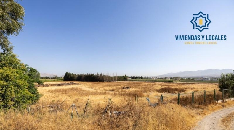 Granada - Granada - 21000m2