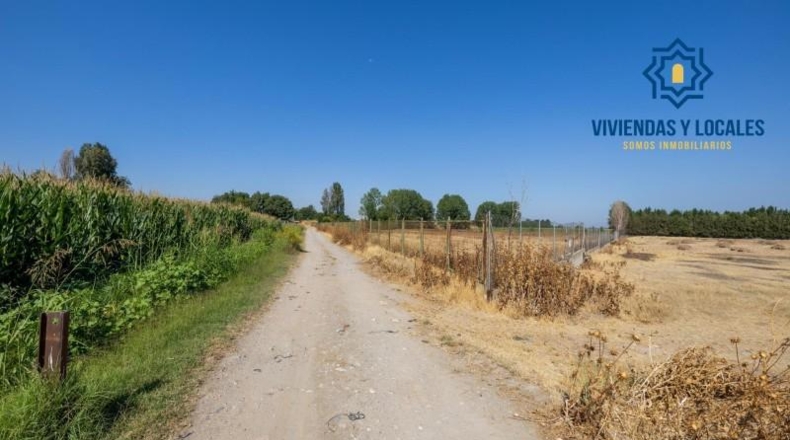 Granada - Granada - 21000m2
