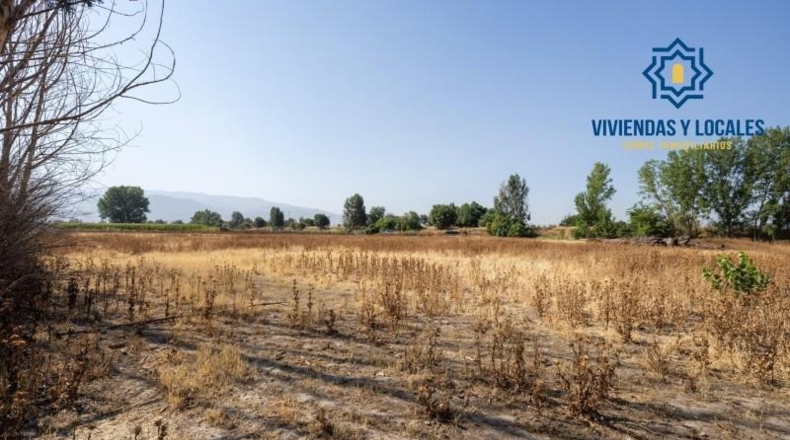 Granada - Granada - 21000m2