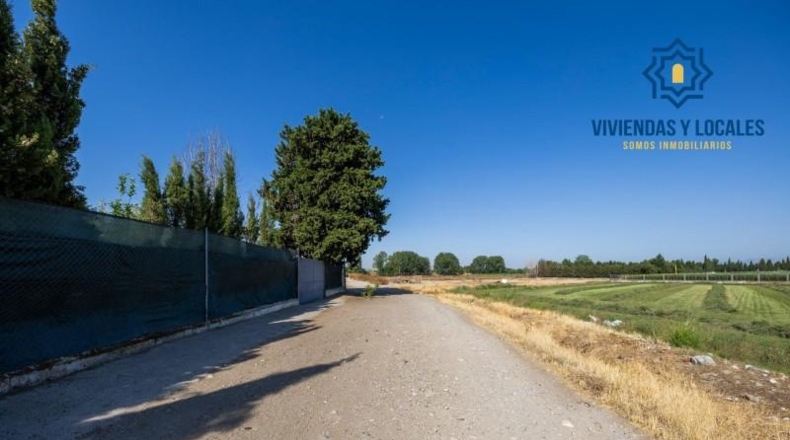Granada - Granada - 21000m2