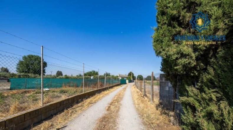 Granada - Granada - 21000m2