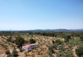 Xalet independent amb terreny en venda a la España, l'Ametlla de Mar, ref.: TR269869 foto