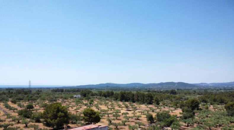 Tarragona - l'Ametlla de Mar - 40000m2