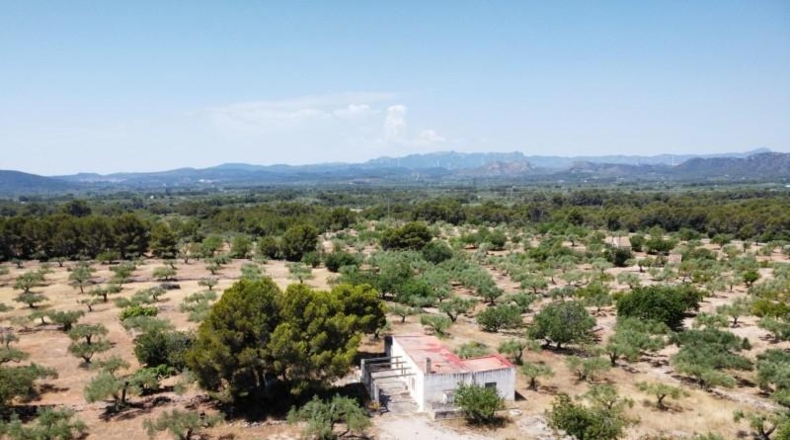 Tarragona - l'Ametlla de Mar - 40000m2