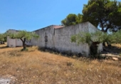 Xalet independent amb terreny en venda a la España, l'Ametlla de Mar, ref.: TR269869 foto