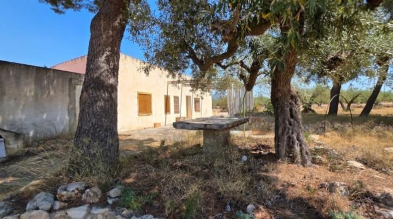 Tarragona - l'Ametlla de Mar - 40000m2