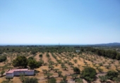 Xalet independent amb terreny en venda a la España, l'Ametlla de Mar, ref.: TR269869 foto