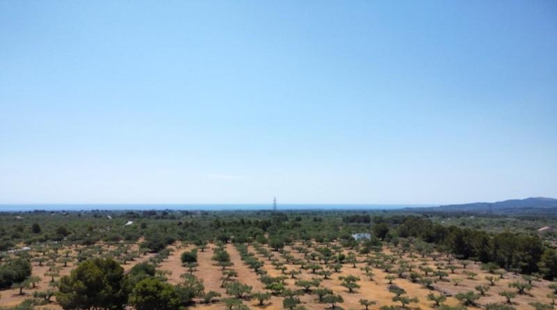 Tarragona - l'Ametlla de Mar - 40000m2