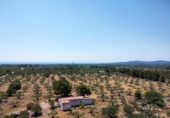 Xalet independent amb terreny en venda a la España, l'Ametlla de Mar, ref.: TR269869 foto