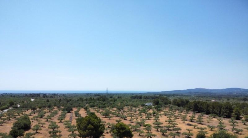 Tarragona - l'Ametlla de Mar - 40000m2