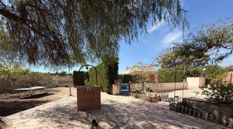 Alicante - Dolores - 2758m2