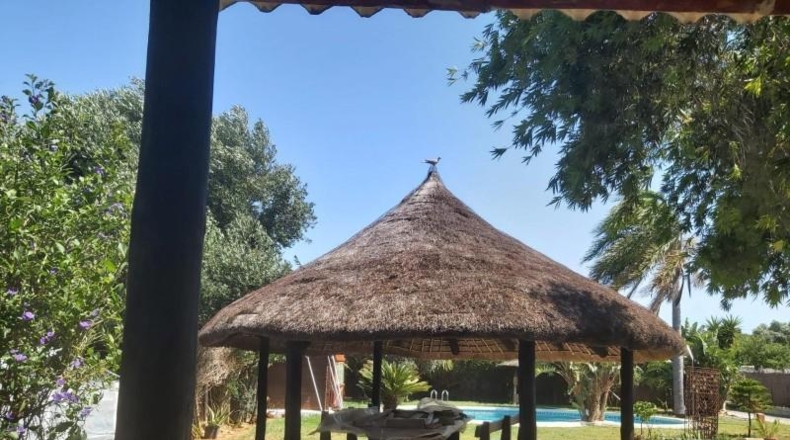 Cadiz - Puerto Real - 2800m2