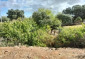 Sòl urbà en venda a la España, Còrdova, ref.: TR124920 foto