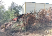 Sòl urbà en venda a la España, Còrdova, ref.: TR124920 foto
