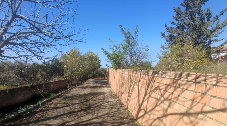 Córdoba - Puente Genil - 4500m2