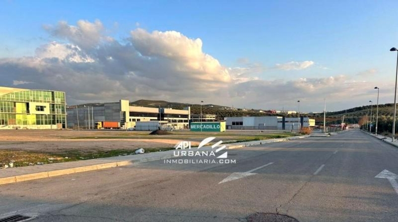 Córdoba - Lucena - 1141m2