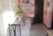 Country house with land for sale on España, Novelda, ref: TR146026 photo
