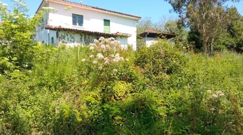 Asturias - Cudillero - 2250m2
