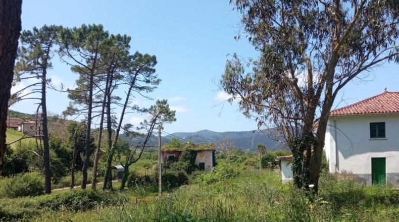 Asturias - Cudillero - 2250m2