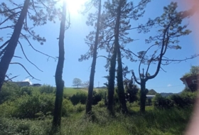 Foto 17