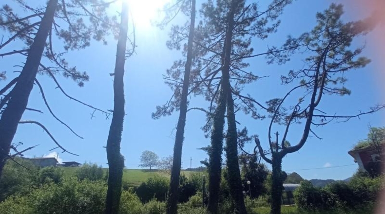 Asturias - Cudillero - 2250m2