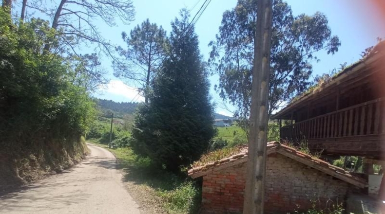 Asturias - Cudillero - 2250m2
