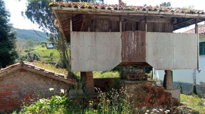 Asturias - Cudillero - 2250m2