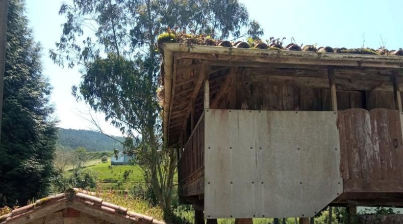Asturias - Cudillero - 2250m2
