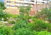Casa de poble en venda a la España, Albatera, ref.: TR315717 foto
