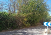 Sòl urbà en venda a la España, Múrcia, ref.: TR328377 foto