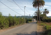 Sòl urbà en venda a la España, Múrcia, ref.: TR328377 foto