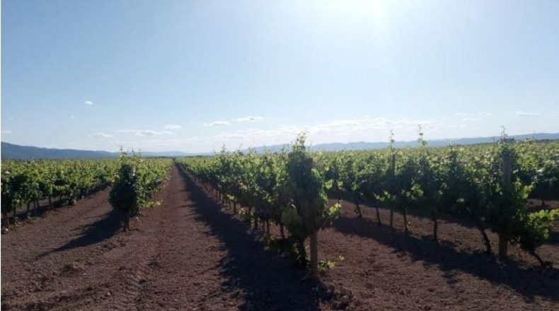 València - Castellón de Rugat - 131737m2