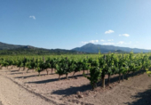 Non-developable land for sale on España, Castelló de Rugat, ref: TR118098 photo