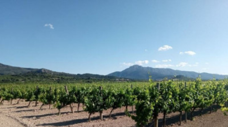 València - Castellón de Rugat - 131737m2