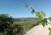 Non-developable land for sale on España, Castelló de Rugat, ref: TR118098 photo