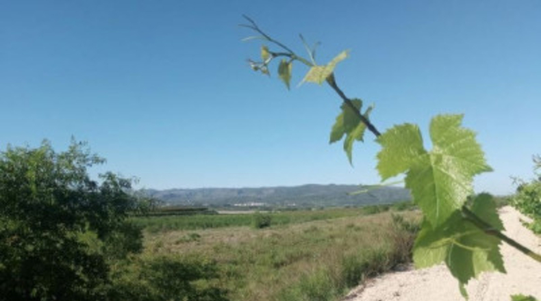València - Castellón de Rugat - 131737m2