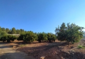 Terreno no urbanizable en venta en la España, Betxí, ref: TR118945 foto