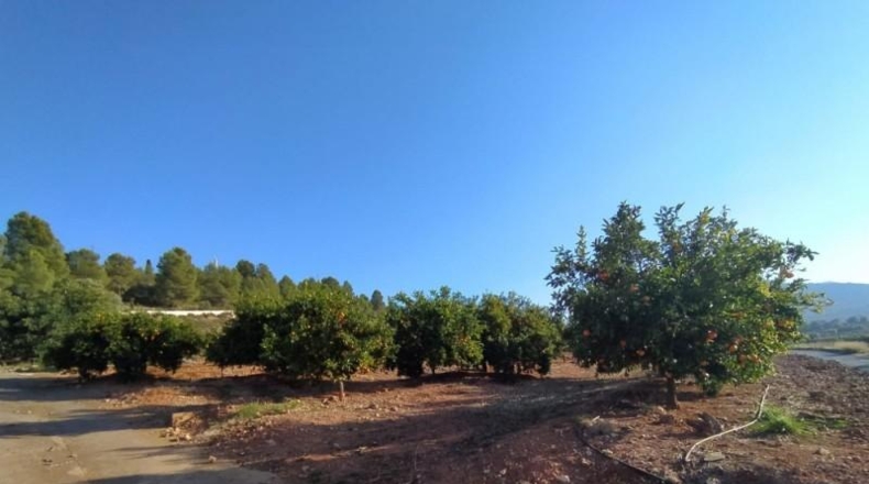Castellón - Onda - 69888m2