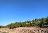 Terreno no urbanizable en venta en la España, Betxí, ref: TR118945 foto