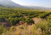 Terreno no urbanizable en venta en la España, Betxí, ref: TR118945 foto