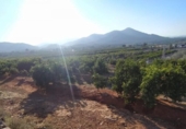 Terreno no urbanizable en venta en la España, Betxí, ref: TR118945 foto