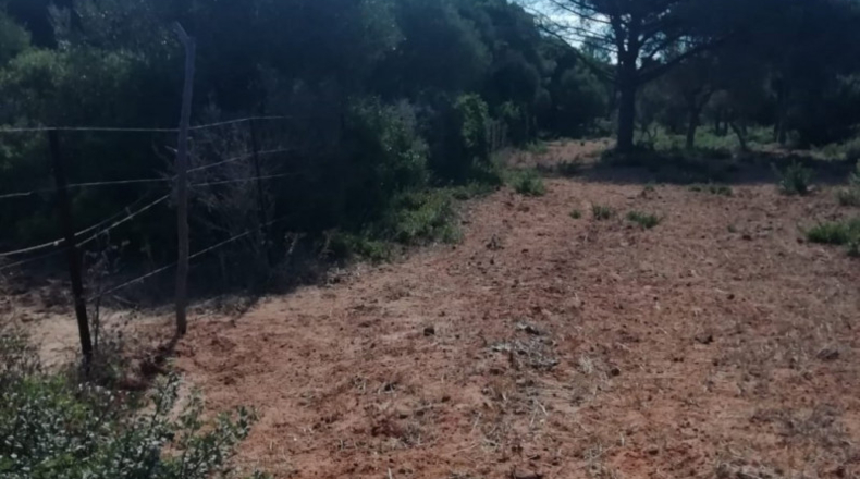 Cádiz - Vejer de la Frontera - 33000m2