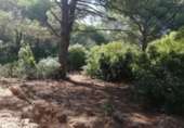 Terreny no urbanitzable en venda a la España, Vejer de la Frontera, ref.: TR116198 foto