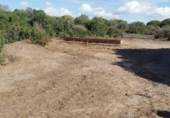 Terreny no urbanitzable en venda a la España, Vejer de la Frontera, ref.: TR116198 foto