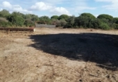 Terreny no urbanitzable en venda a la España, Vejer de la Frontera, ref.: TR116198 foto