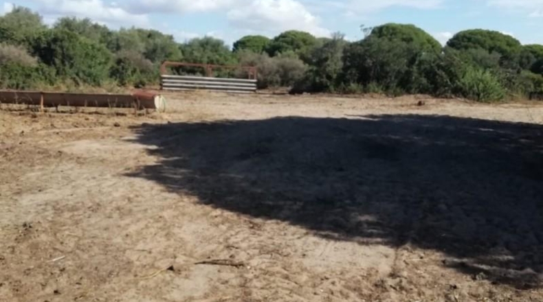 Cádiz - Vejer de la Frontera - 33000m2