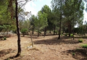 Terreno no urbanizable en venta en la España, Jávea, ref: TR112708 foto