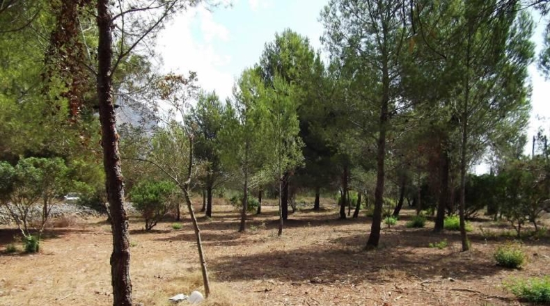 Alicante - Jávea - 3075m2