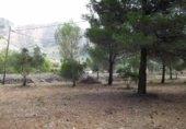 Terreno no urbanizable en venta en la España, Jávea, ref: TR112708 foto