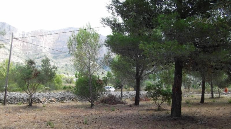 Alicante - Jávea - 3075m2